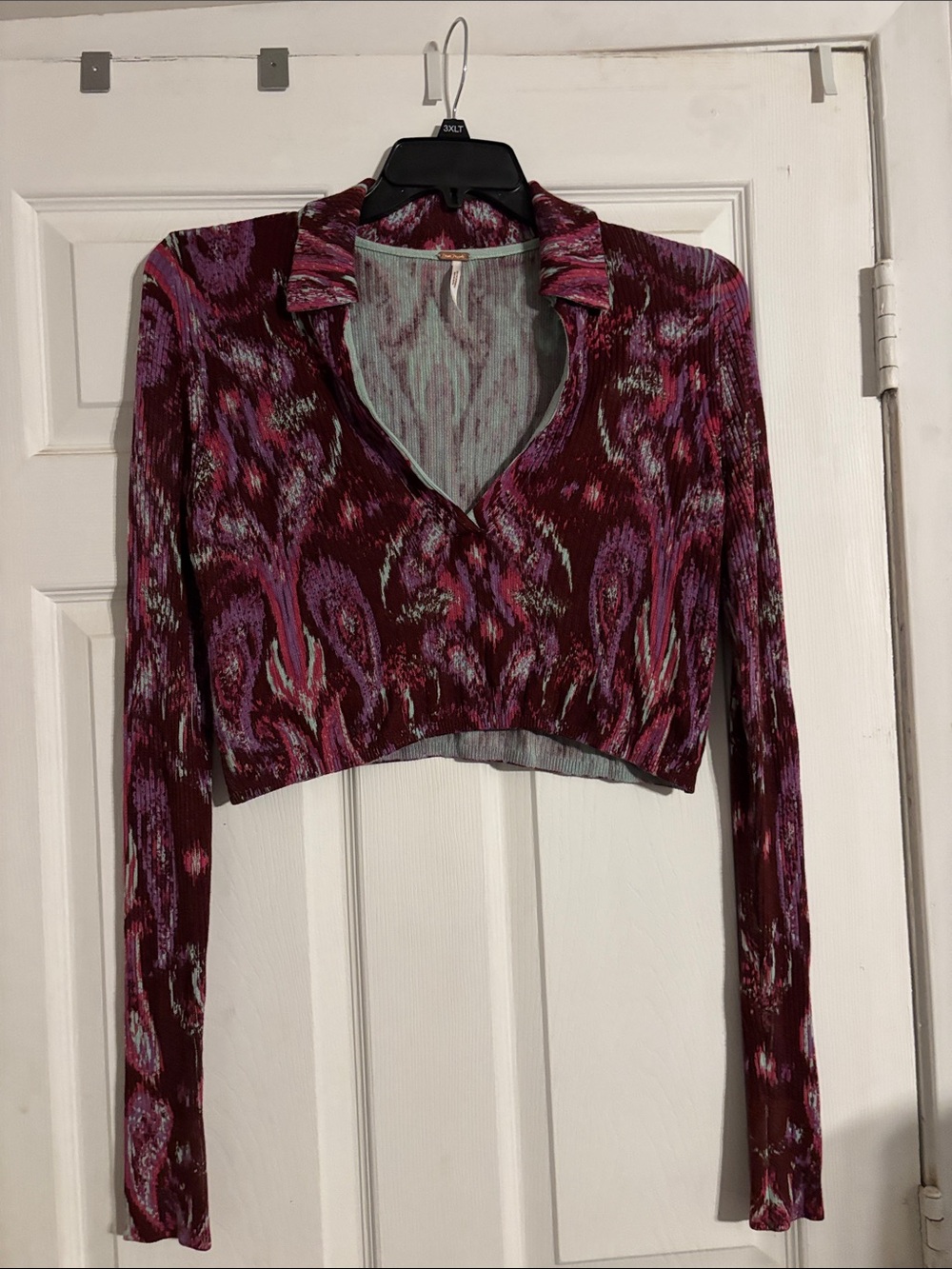 Free People Burgundy and Pink Cropped Long-Sleeve Top